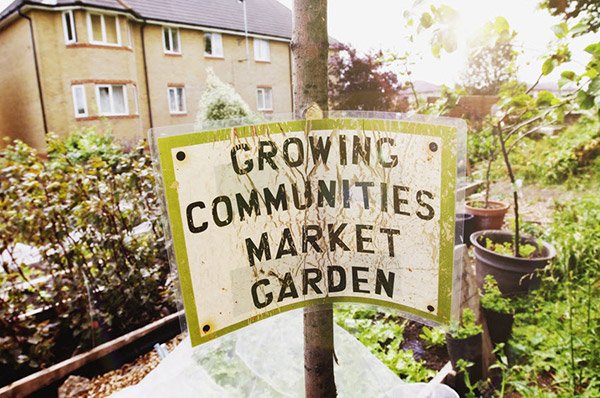 community garden sign standing in garden with tan building in the background